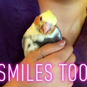 Meet your Posher, Patty